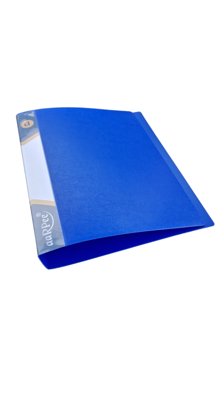 Ring file| A4 size | pack of 1 | 2 colour variations (blue, grey)